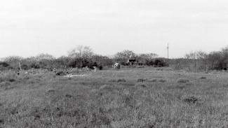 Palmito Ranch Battlefield
                        